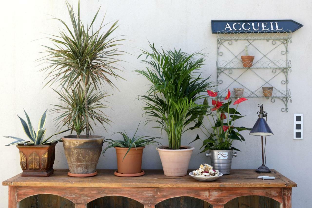 Bed and Breakfast Justin De Provence Оранж Экстерьер фото